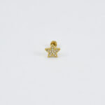 Gouden stervormige piercing met glans